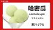 哈密瓜2L